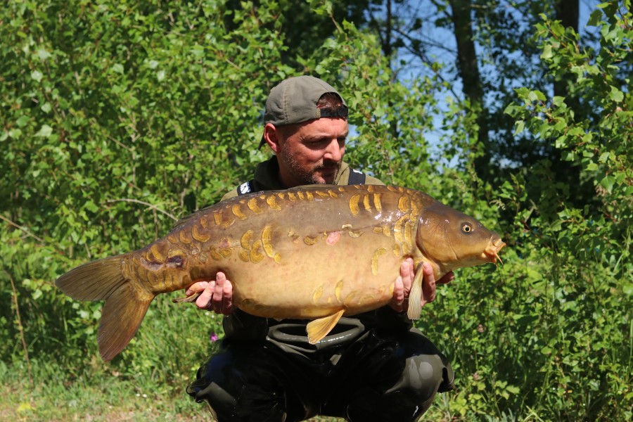 Beadie 28lb 12oz