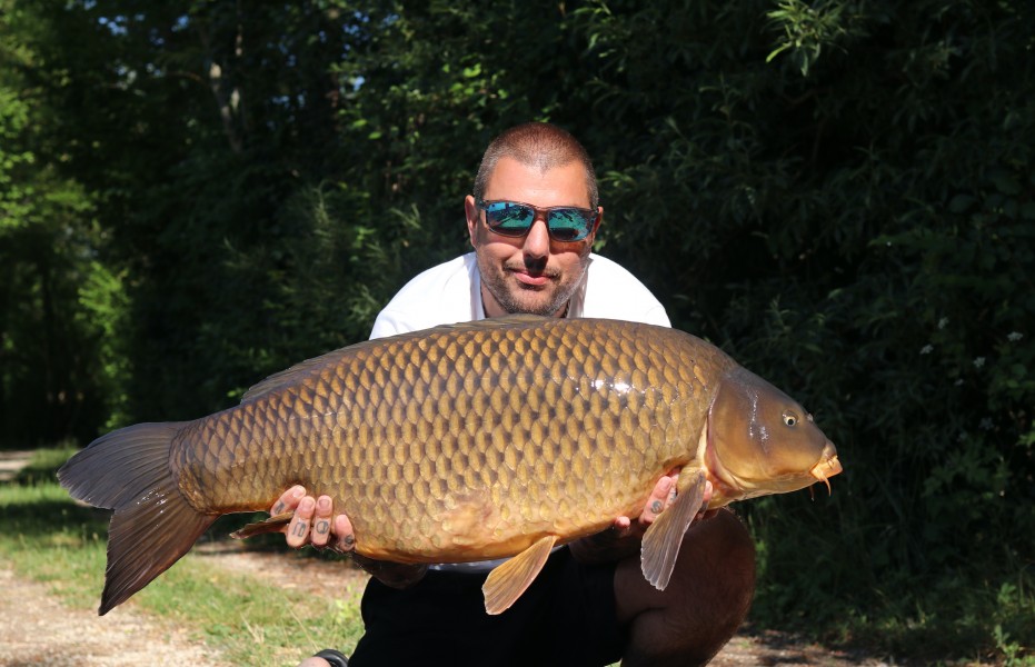 Tank 39lb