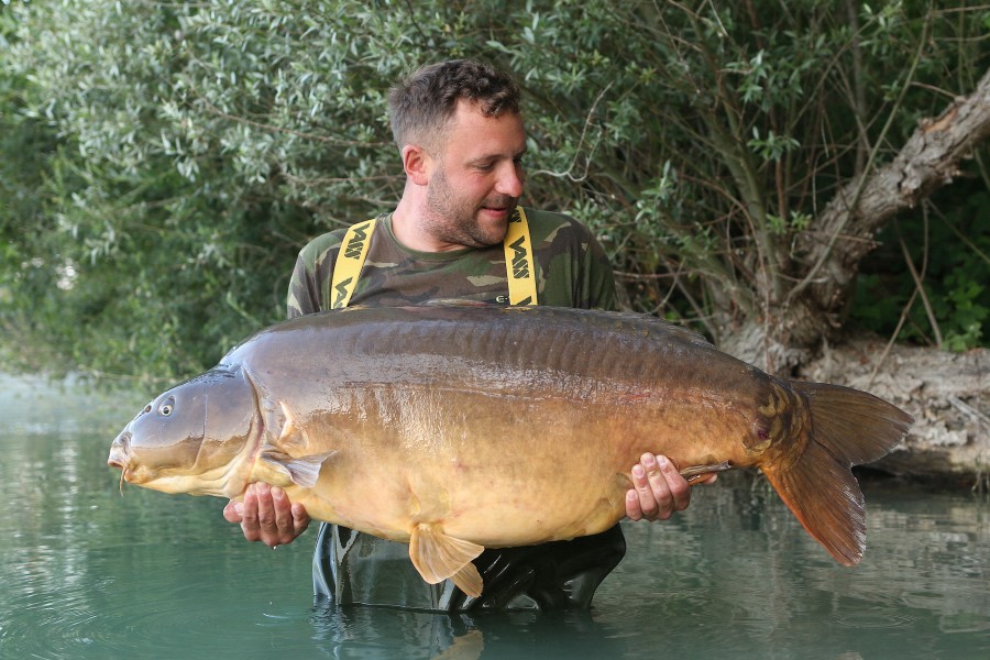 Beau with Pips atb71lb