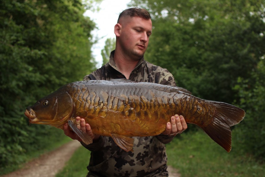 Lovely original Chippy at 26lb