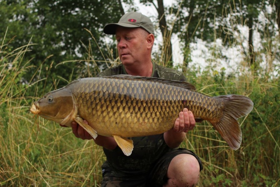 A lovely 36lb common (Blank Saver)