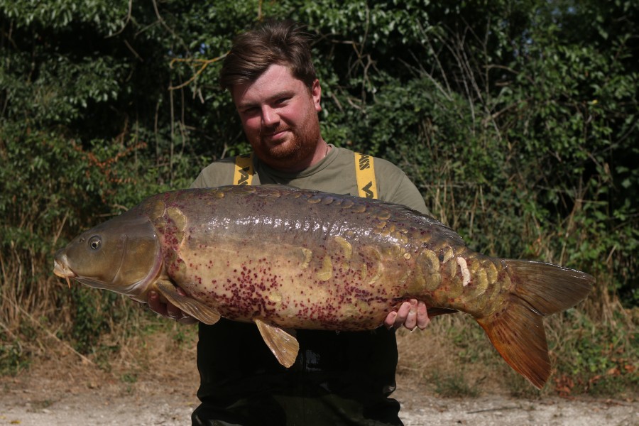 Pixles 40lb 8oz