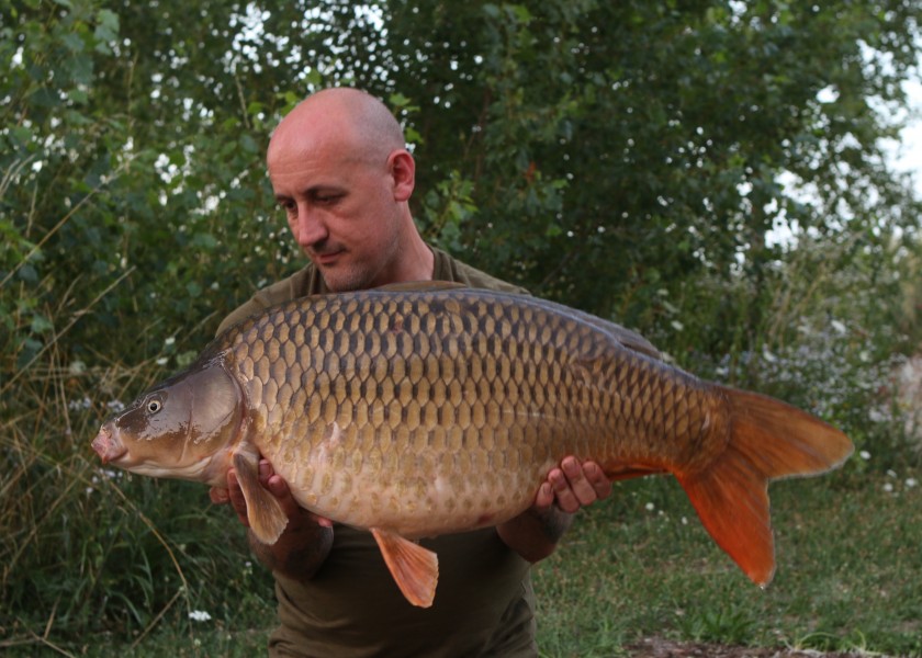 Bratwurst also from Stock Pond 29lb 4oz