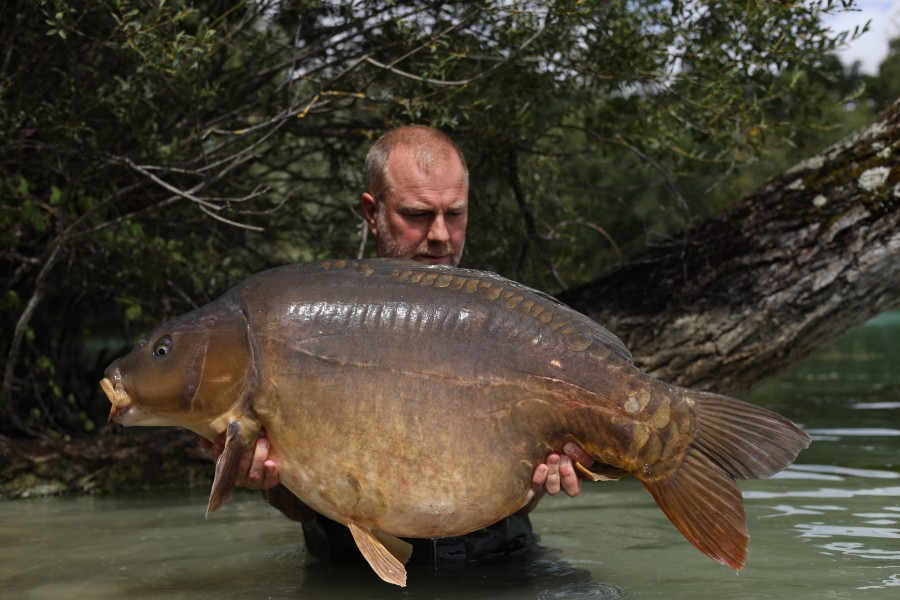 buzzing fish 57lb