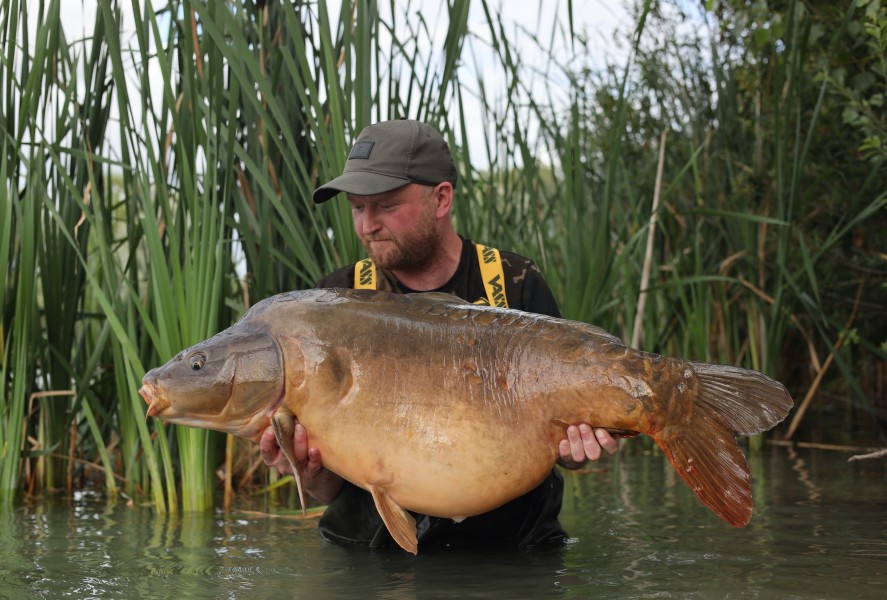 2 C's 53lb