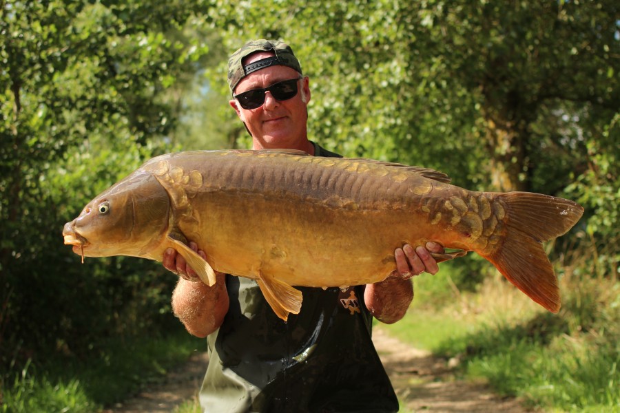 Polly 41lb