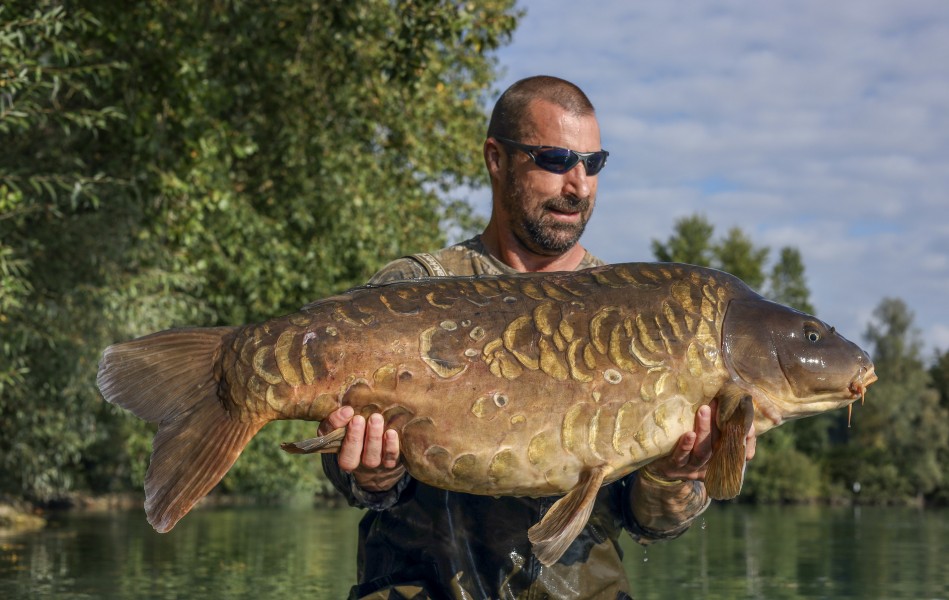Equiled 49lb