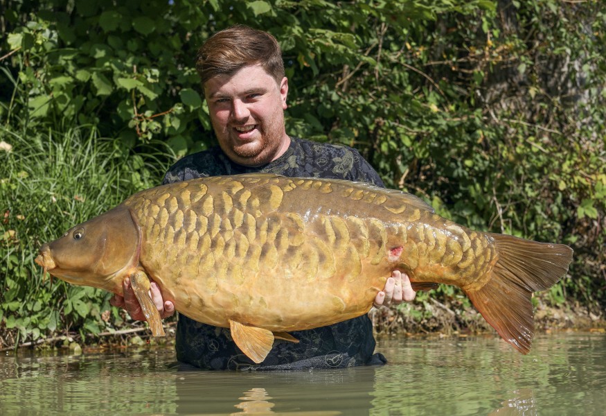 Patched Fully 56lb