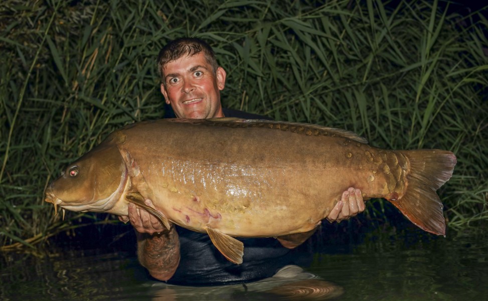 Slate Grey 53lb