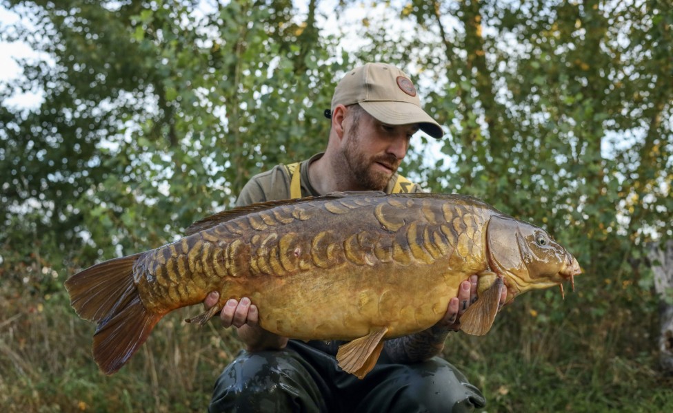 Scrappy 34lb