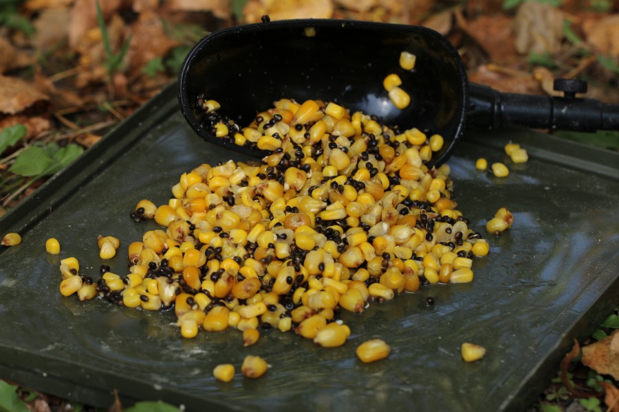 Greg's particle approach consisted of hemp, maize and corn