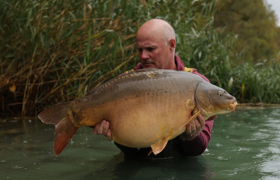 Steve with The Mastiff