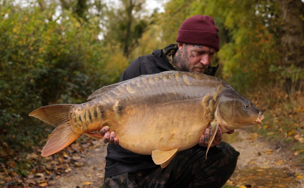 Black Moth with Macks Mirror
