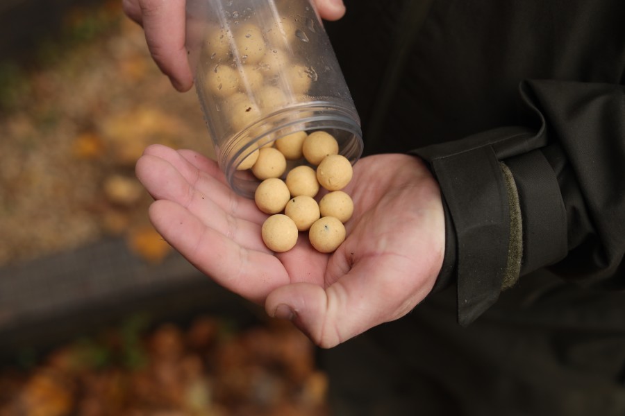 Hook baits that Martin was using in stink.