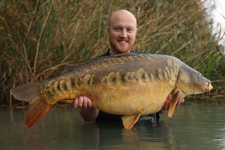 Josh Mcknight with Conker at 38lb from Stink.