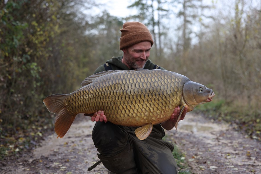 common 45lb