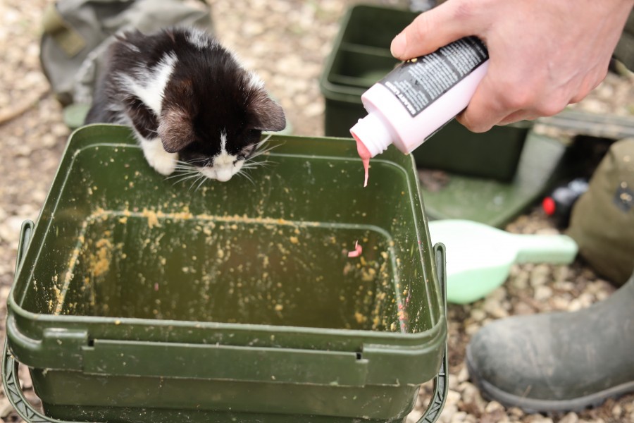 Plenty of Cell Smart, Little G Also Loves The Stuff!!