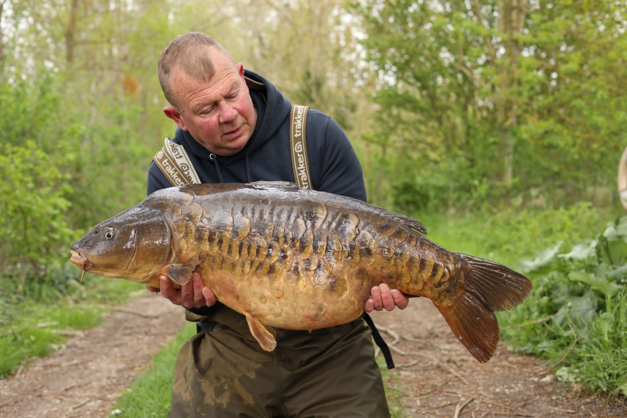 Bob with Little Plated