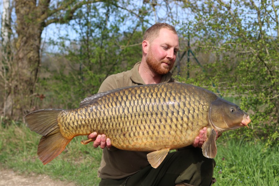 Sam's Common