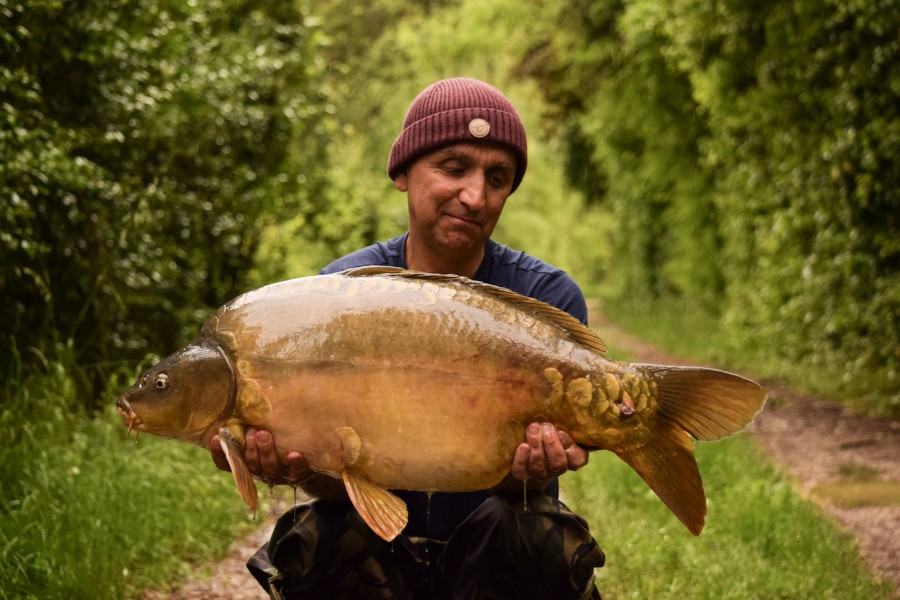 31lb of newly named Smile