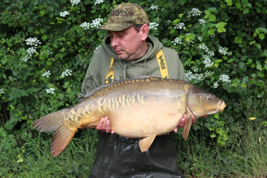 Steve Harrison with The Duplicate