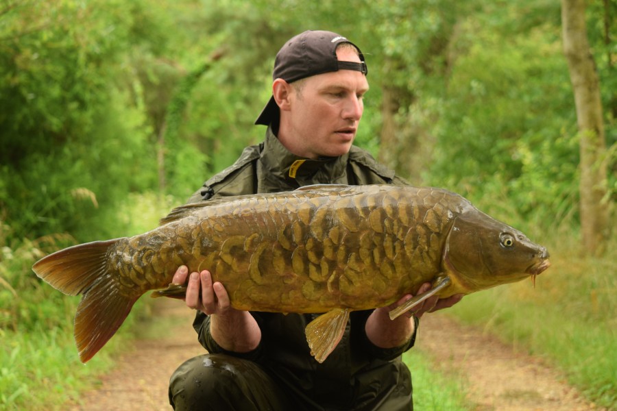 Nice fish this.....Trans Pretty One 31lb from Stink