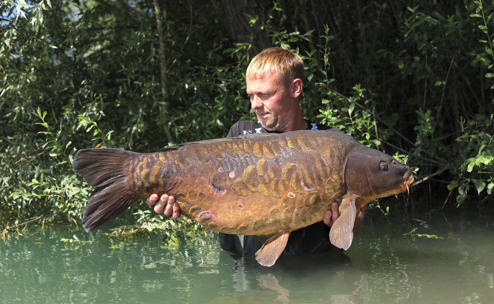 Mark with Equalled