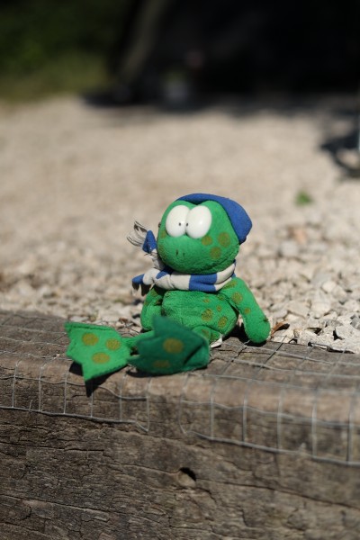 Neil's mascot