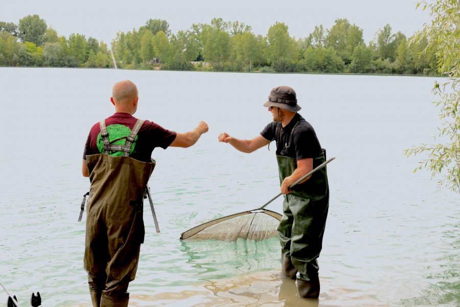 Teamwork in Co's