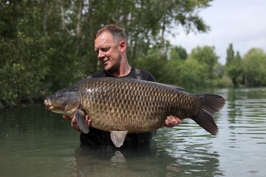 Steve's 44lb Common