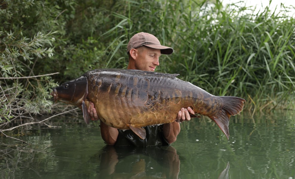 Ben With Chop Dorsal
