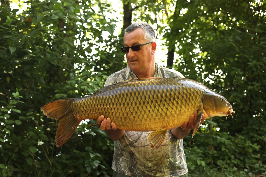 Ian with Cornification