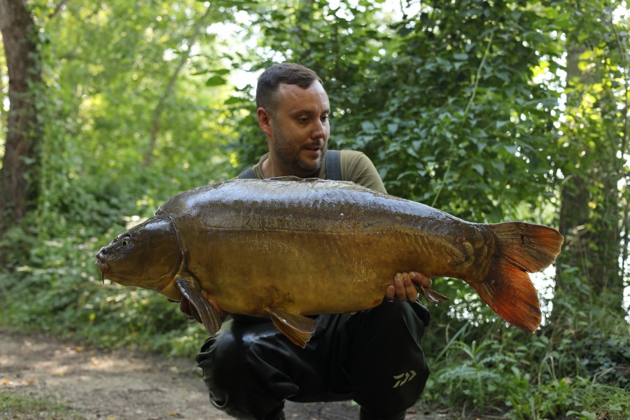 Loz with Short Dorsal