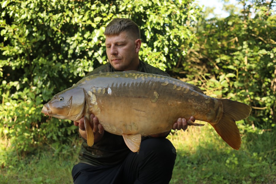 Aaron with Complete Carnage