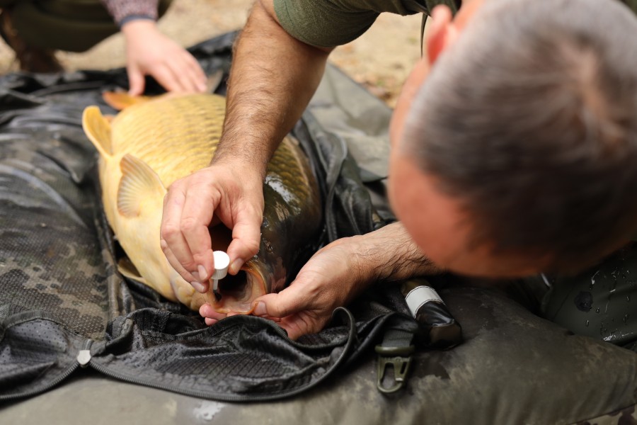 Fish care here is so important