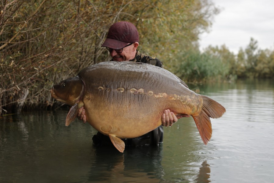 Another of our biggest stocks Dustbin at 64lb for DF