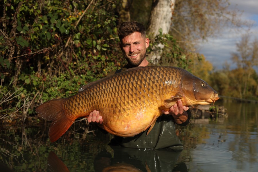 Another big common, Mammut 61lb