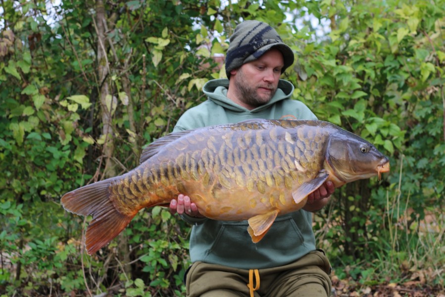 nice fully scaled 37lb'er, Bel Bambino