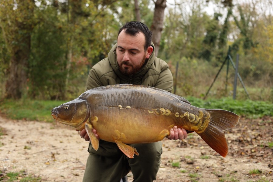 Milky Nuts for Lewis, 26lb