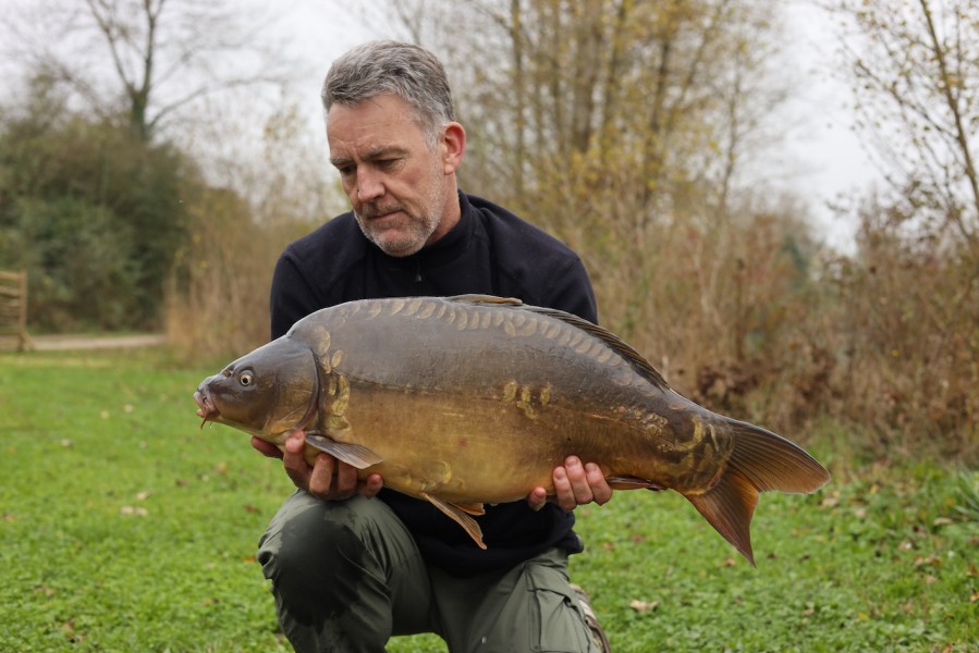 Baby Orange Spot 25lb 9oz