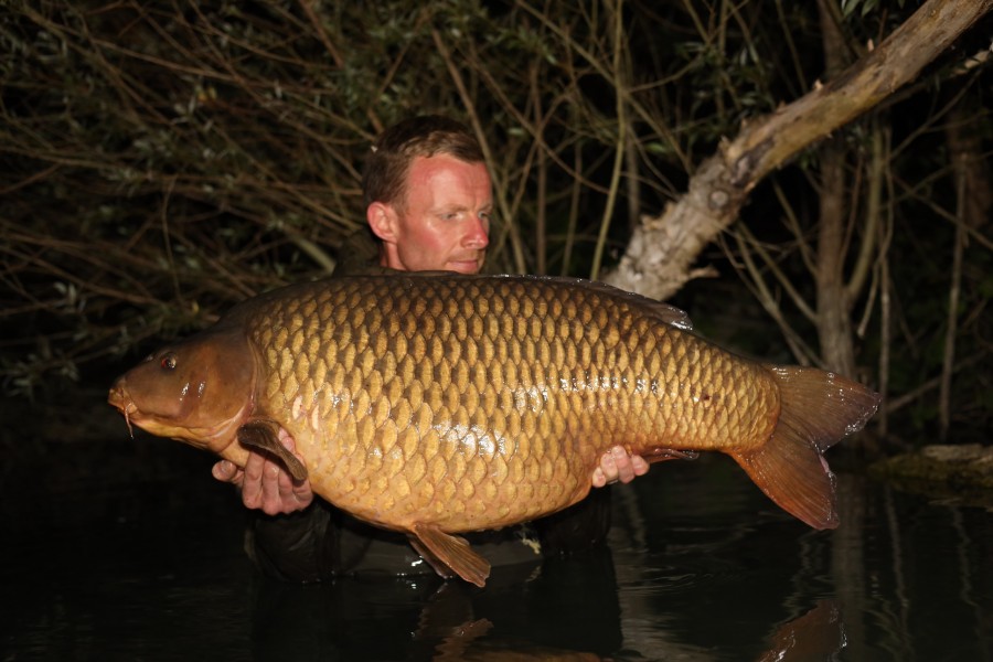 Warren with Strauss Family Common