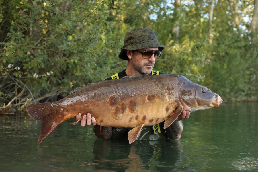 Kev with Black Scales