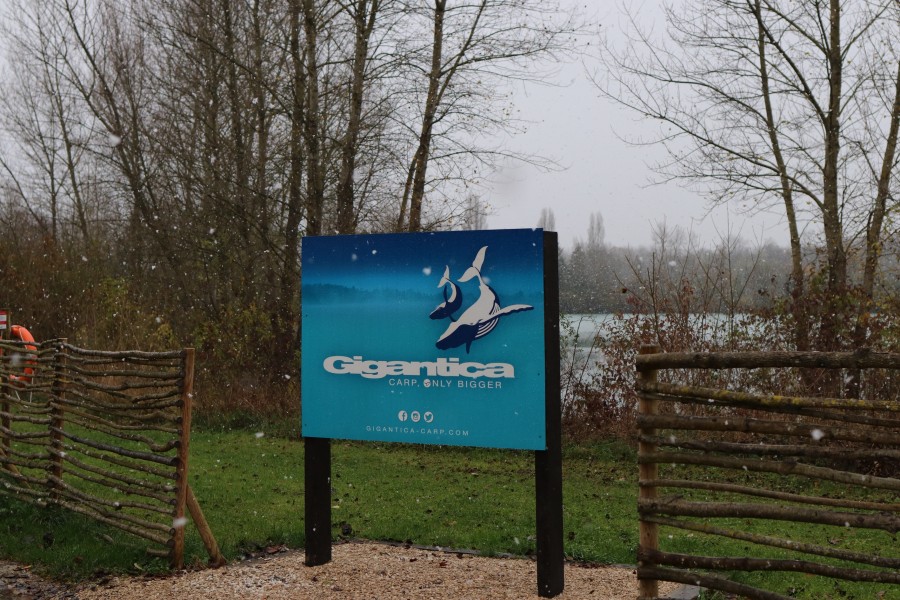 snowing on Big G sign