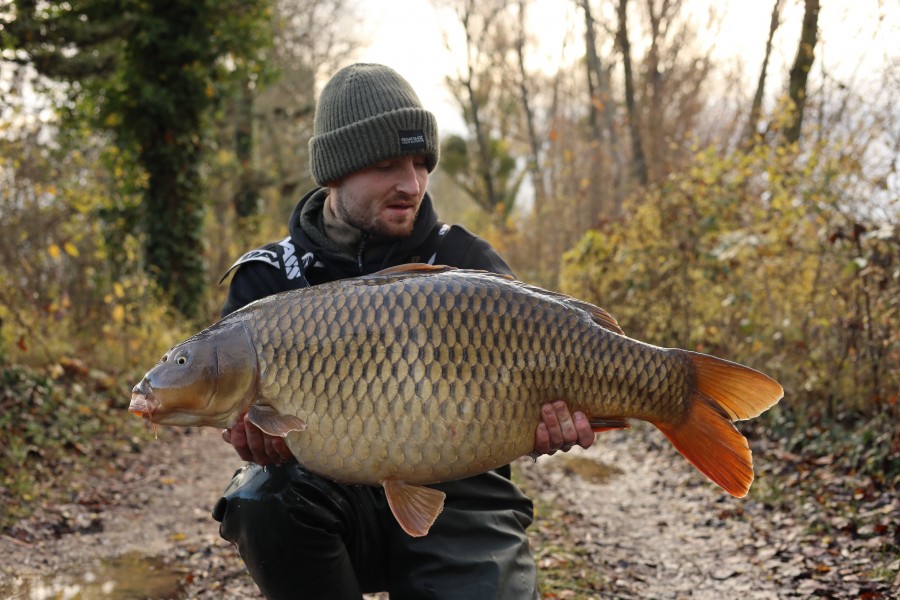 Daniel's Common