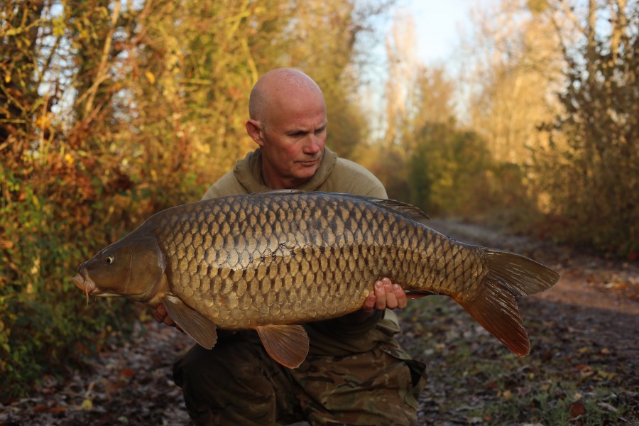 Steve with The Cold Common