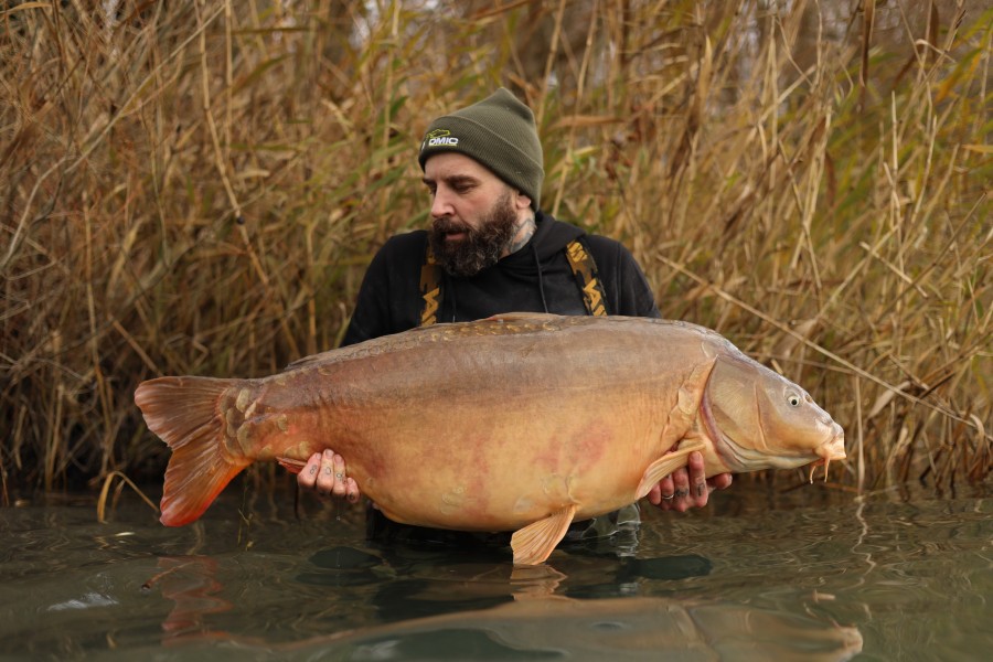 Scott with Slate Grey