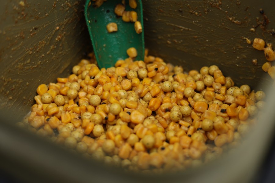 Corn, Essential Cell, Hemp and Garlic was Terry's mix