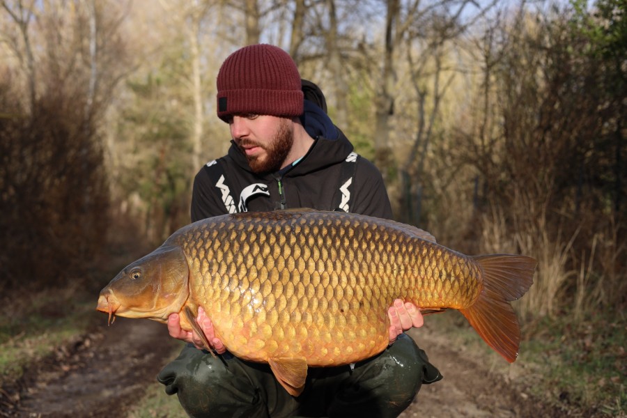 Josh with Browny's