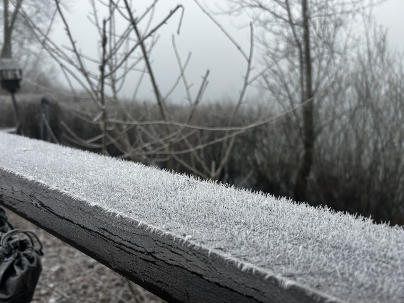 Heavy frost and freezing fog - not ideal