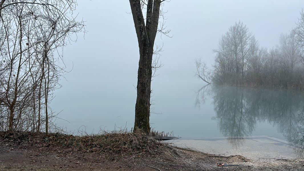 Visibility made fish spotting and baiting up difficult